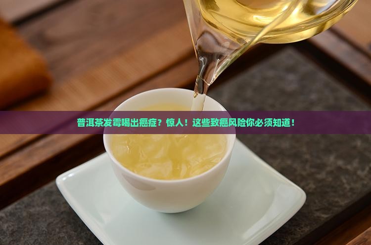 普洱茶发霉喝出癌症