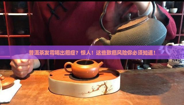 普洱茶发霉喝出癌症