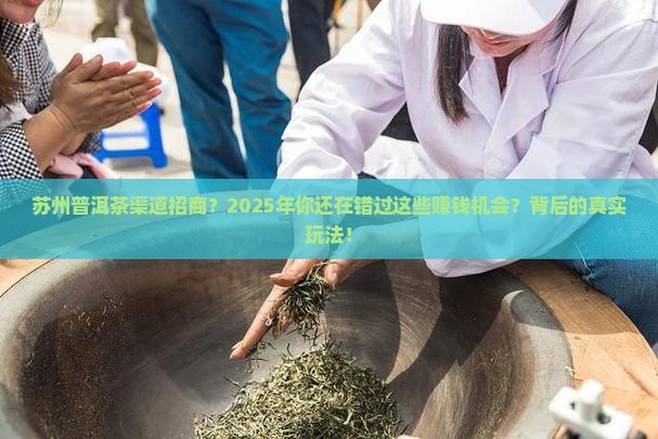 苏州普洱茶渠道招商