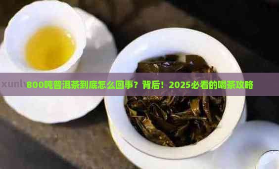 800吨普洱茶
