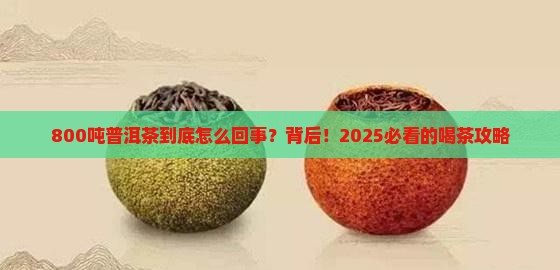 800吨普洱茶