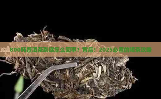 800吨普洱茶