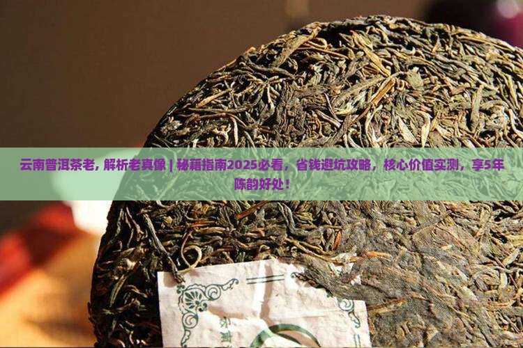 云南普洱茶老品牌