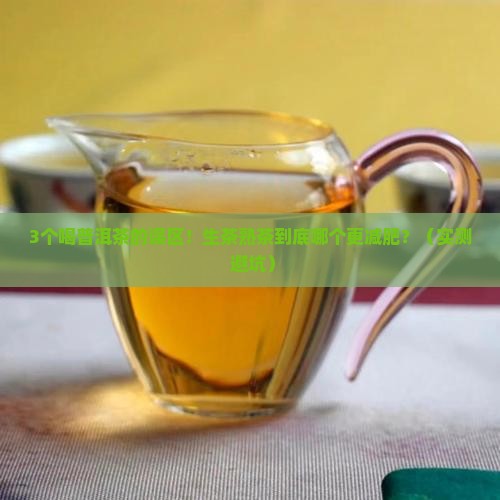 普洱茶生茶熟茶减肥效果