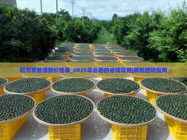 和为贵普洱茶价格表