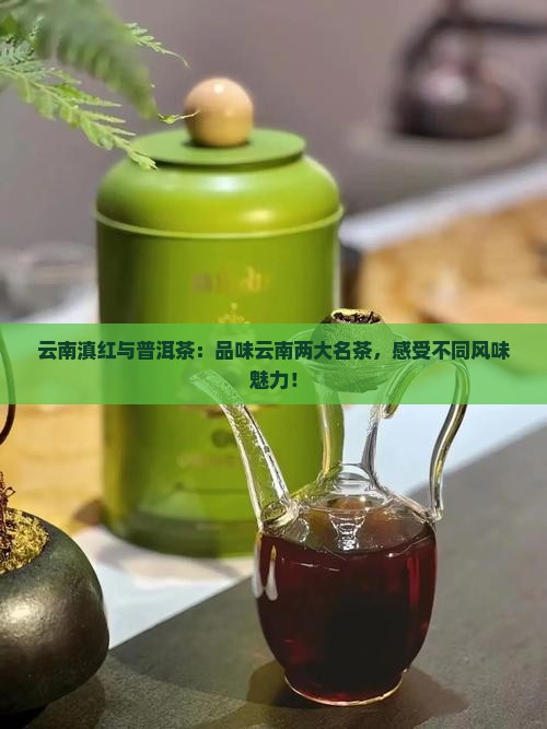 云南滇红与普洱茶