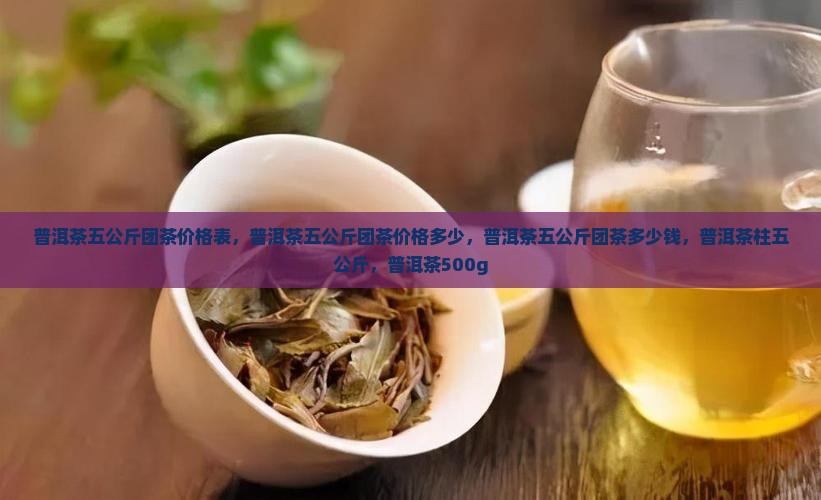 普洱茶五公斤团茶