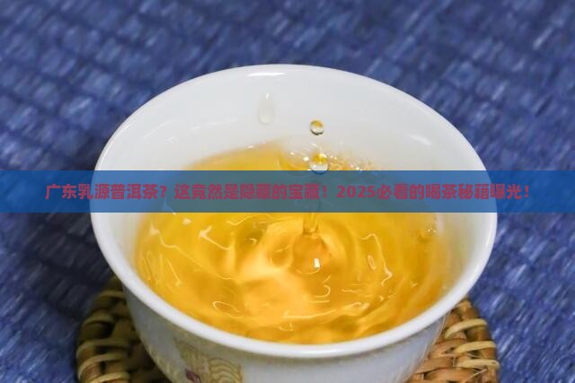 广东乳源普洱茶