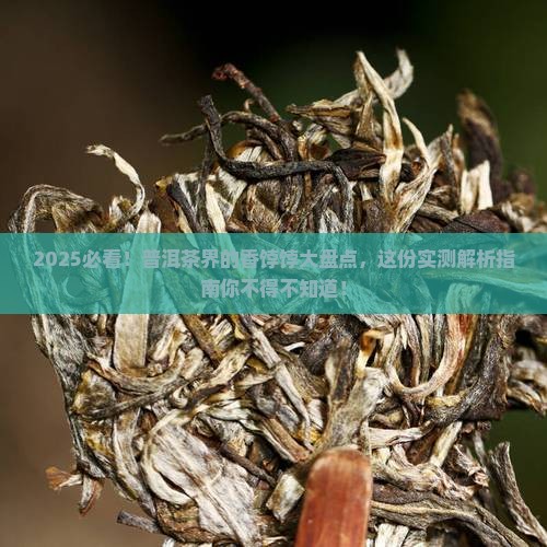 最清香的普洱茶排名榜
