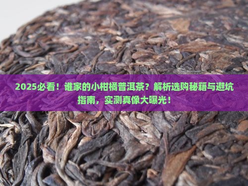 谁家的小柑橘普洱茶好