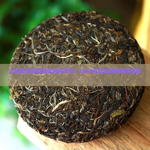 大紫砂壶泡普洱茶好吗怎么泡