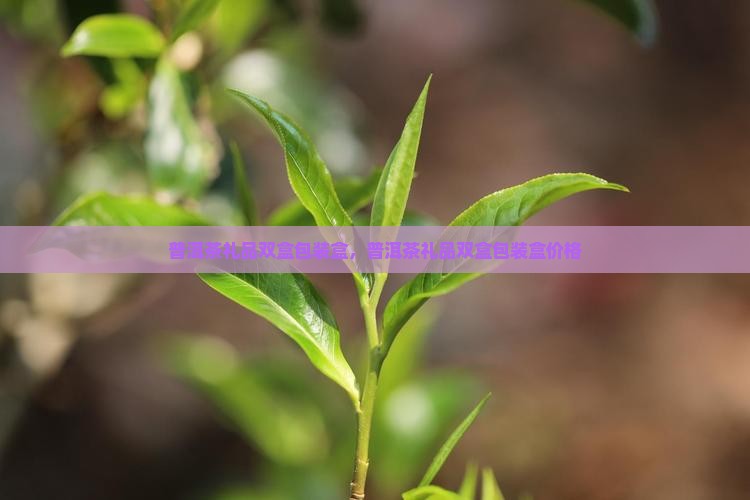 普洱茶礼品双盒包装盒