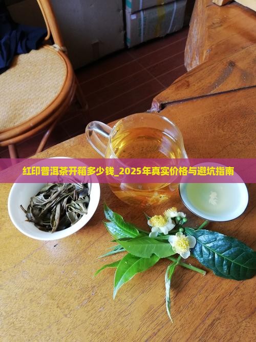 红印普洱茶开箱多少钱