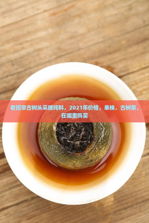 老班章古树头采摘