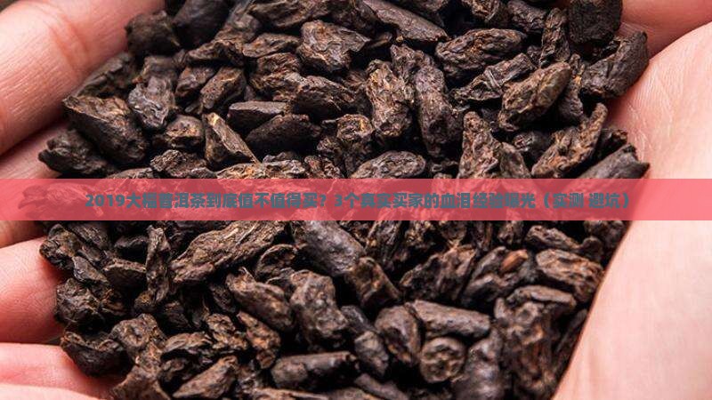 大福普洱茶2019