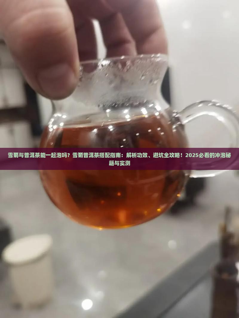 雪菊与普洱茶能一起泡吗
