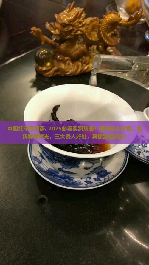 中园红印普洱茶
