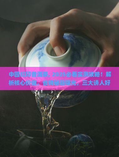 中园红印普洱茶