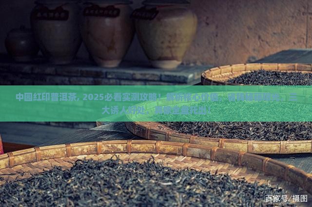 中园红印普洱茶