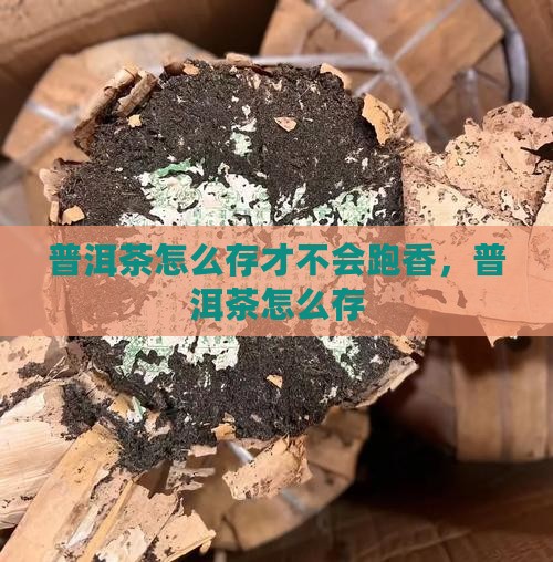 普洱茶怎么存才不会跑香