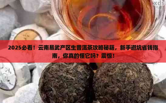 云南易武产区生普洱茶