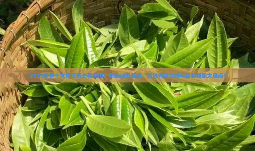新疆十大普洱茶品牌排行榜