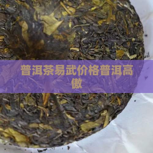 易武普洱茶价格易武茶价格高傲