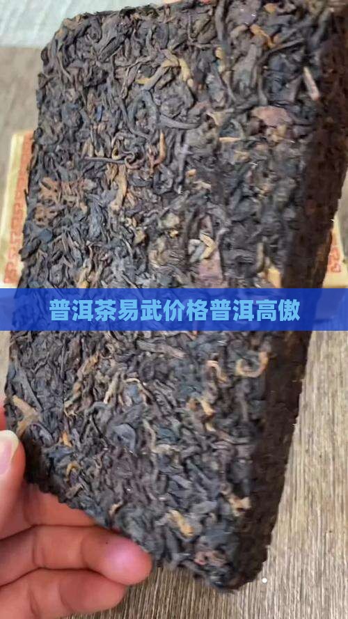 易武普洱茶价格易武茶价格高傲