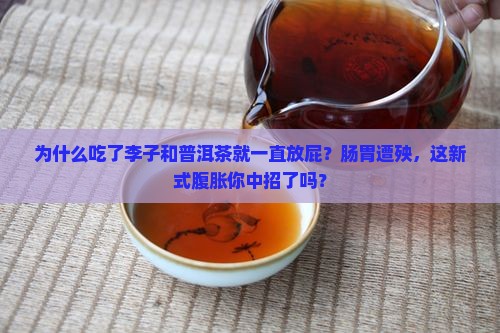 吃了李子和普洱茶一直放屁