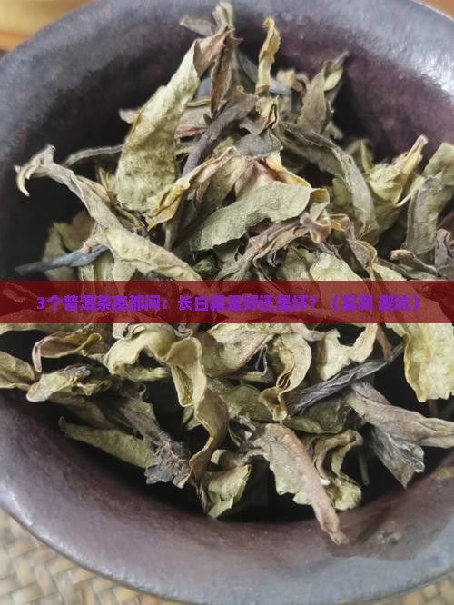 普洱茶长白霜是好还是不好