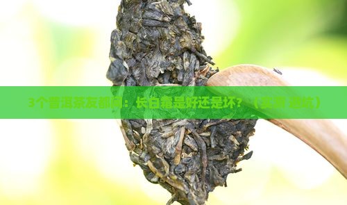 普洱茶长白霜是好还是不好
