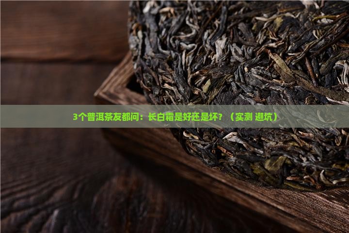 普洱茶长白霜是好还是不好
