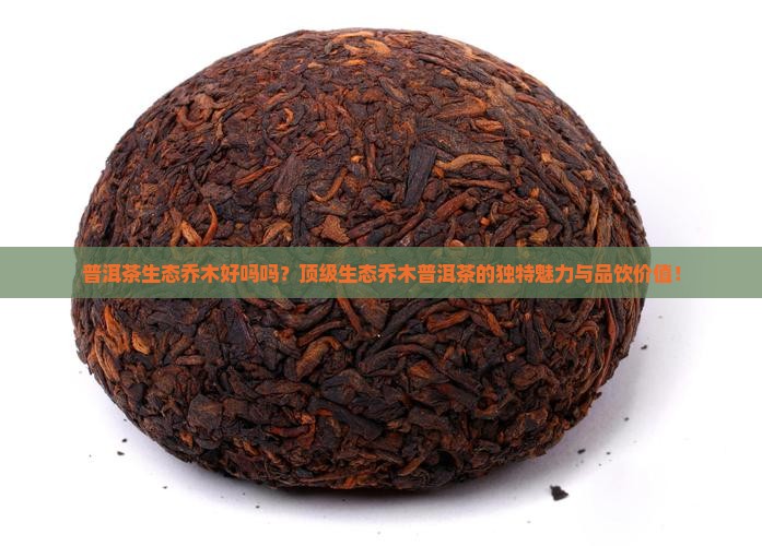 普洱茶生态乔木好吗吗