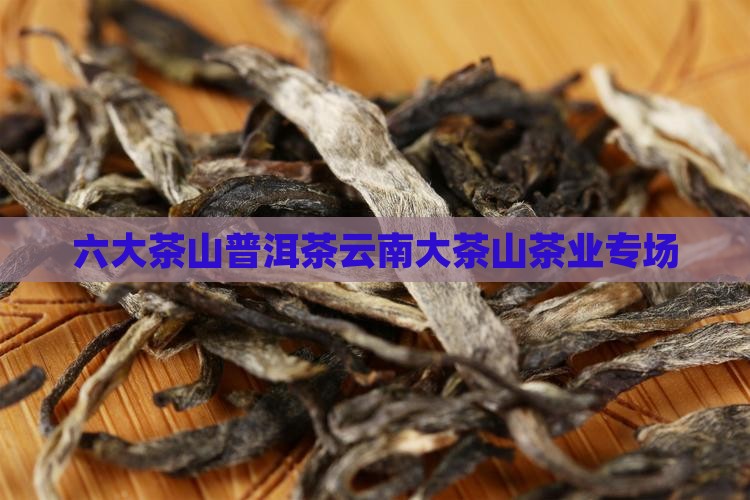 六大茶山专场普洱茶