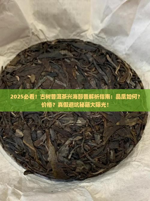 古树普洱茶兴海醇普