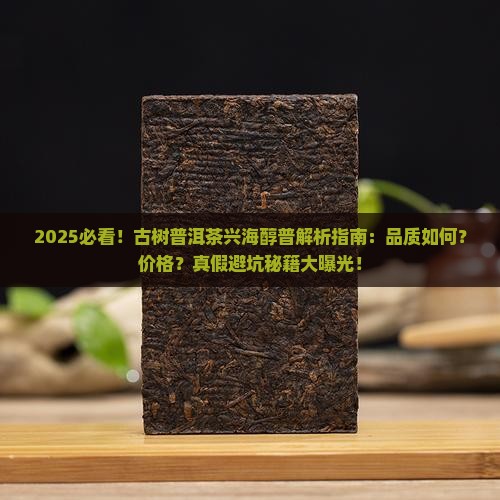古树普洱茶兴海醇普