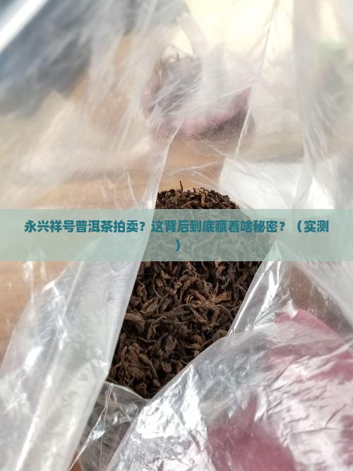 永兴祥号普洱茶拍卖
