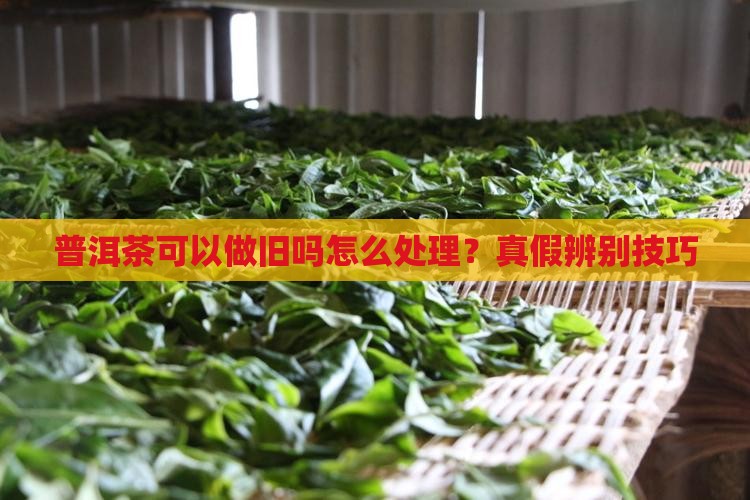 普洱茶可以做旧吗怎么处理