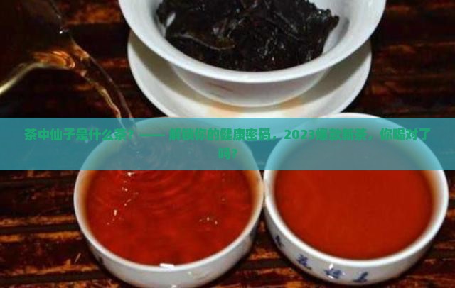 茶中仙子是什么茶