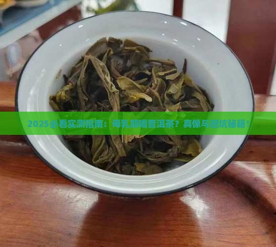 母乳期能喝普洱茶吗