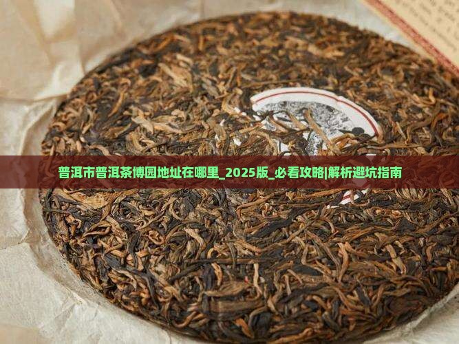 普洱市普洱茶博园地址在哪里