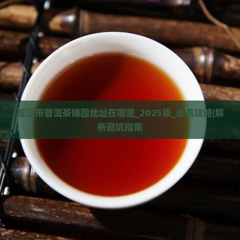 普洱市普洱茶博园地址在哪里
