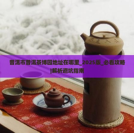 普洱市普洱茶博园地址在哪里