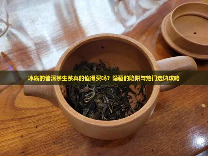 冰岛的普洱茶生茶 冰岛的普洱茶生茶