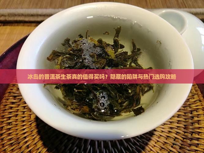 冰岛的普洱茶生茶 冰岛的普洱茶生茶