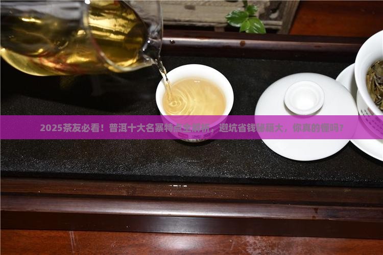 普洱十大名寨特点