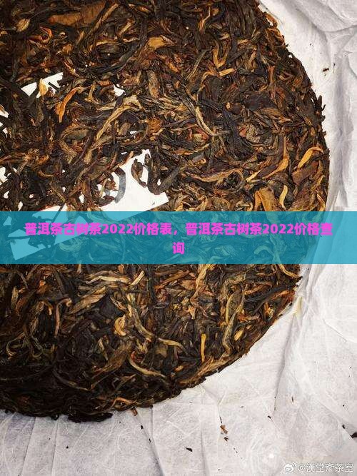 普洱茶古树茶2022价格