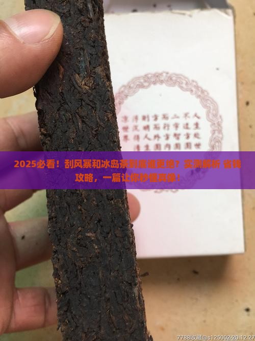 刮风寨和冰岛茶哪个好