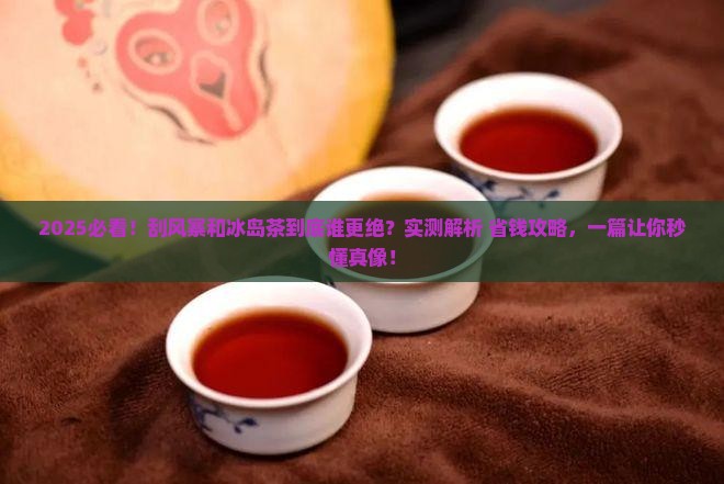 刮风寨和冰岛茶哪个好