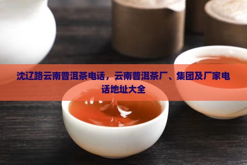 沈辽路云南普洱茶电话